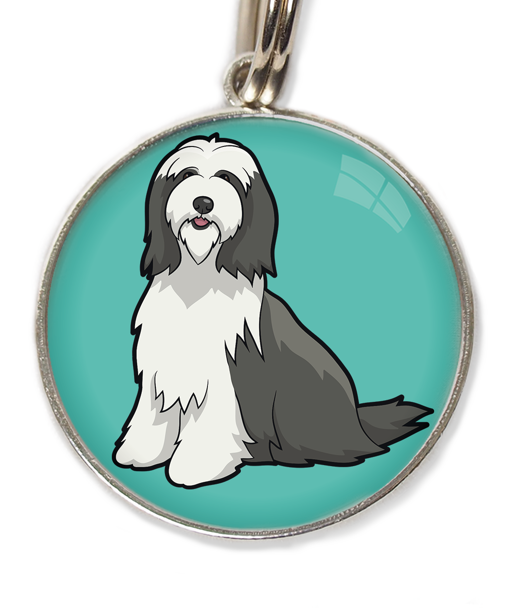 bearded-collie-huisdierpenning-turquoise