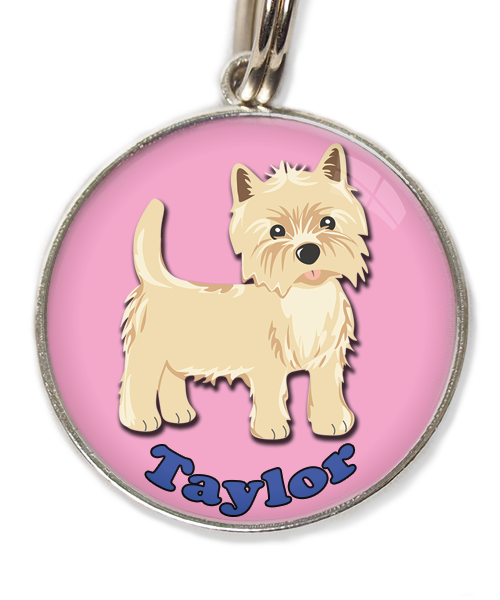 cairn-terrier-met-naam-los-huisdierpenning-lichtroos