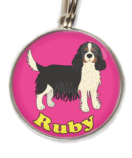 cavalier-king-charles-wit-zwart-met-naam-los-huisdierpenning-fushia