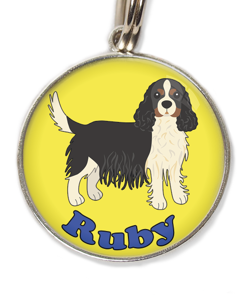 cavalier-king-charles-wit-zwart-met-naam-los-huisdierpenning-geel