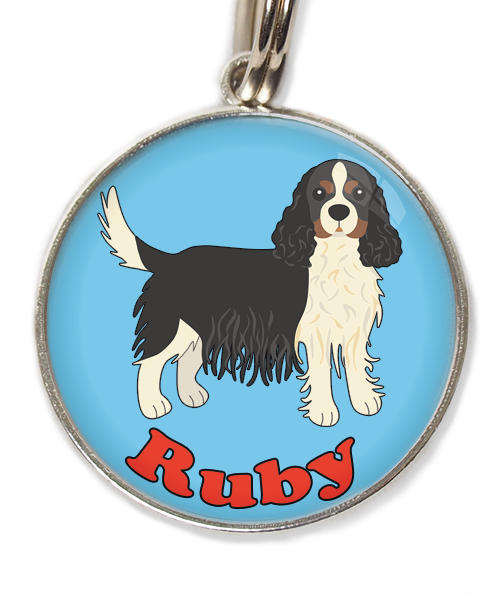 cavalier-king-charles-wit-zwart-met-naam-los-huisdierpenning-lichtblauw