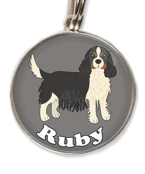 cavalier-king-charles-wit-zwart-met-naam-los-huisdierpenning-lichtgrijs