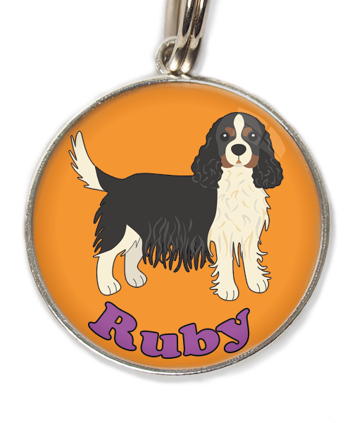 cavalier-king-charles-wit-zwart-met-naam-los-huisdierpenning-oranje