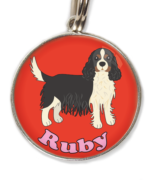 cavalier-king-charles-wit-zwart-met-naam-los-huisdierpenning-rood