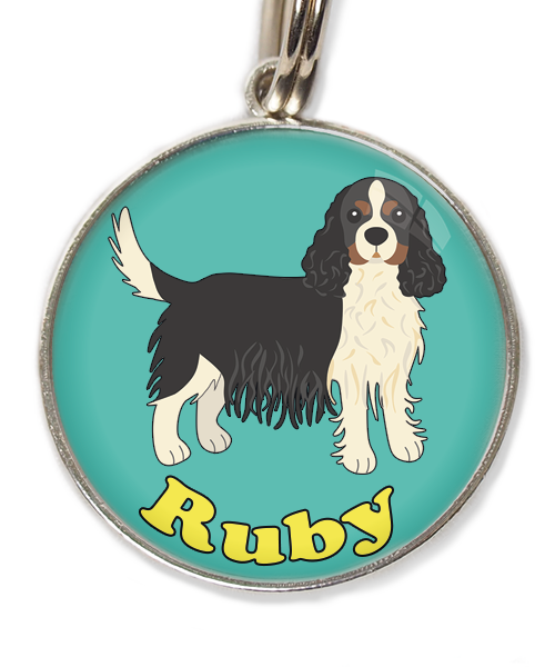 cavalier-king-charles-wit-zwart-met-naam-los-huisdierpenning-turquoise