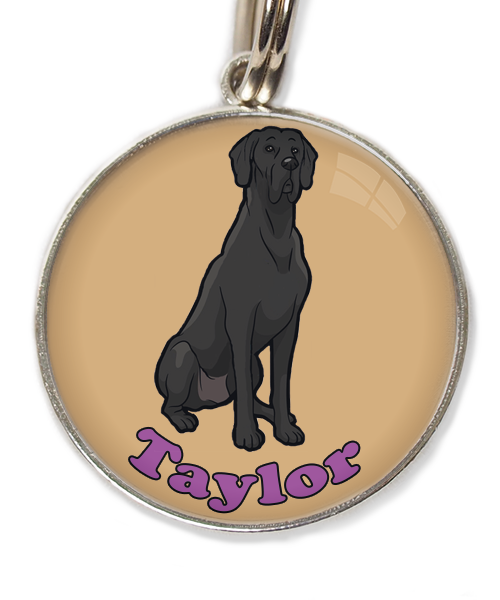 deense-dog-cartoon-met-naam-los-huisdierpenning-beige