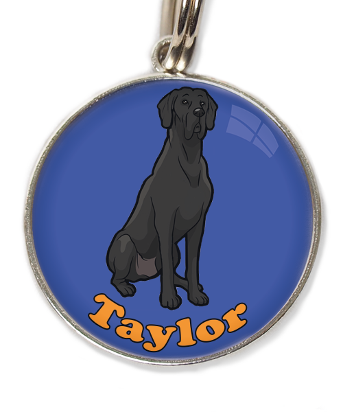 deense-dog-cartoon-met-naam-los-huisdierpenning-blauw