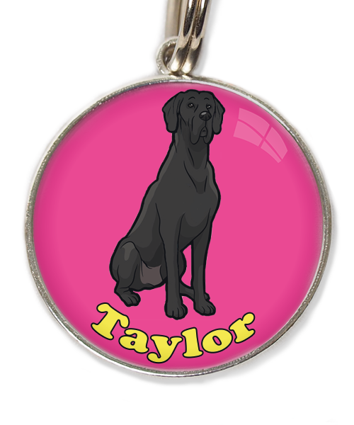 deense-dog-cartoon-met-naam-los-huisdierpenning-fushia