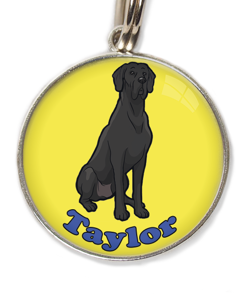 deense-dog-cartoon-met-naam-los-huisdierpenning-geel