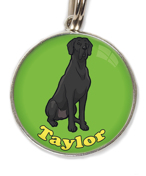 deense-dog-cartoon-met-naam-los-huisdierpenning-groen