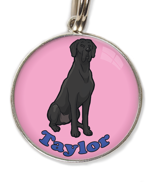 deense-dog-cartoon-met-naam-los-huisdierpenning-lichtroos