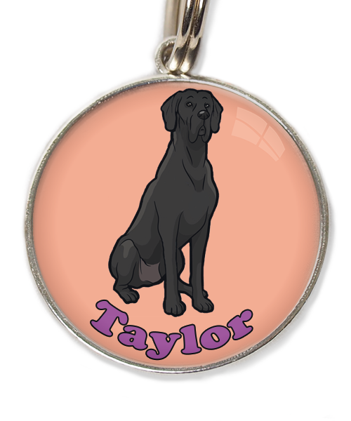 deense-dog-cartoon-met-naam-los-huisdierpenning-peach