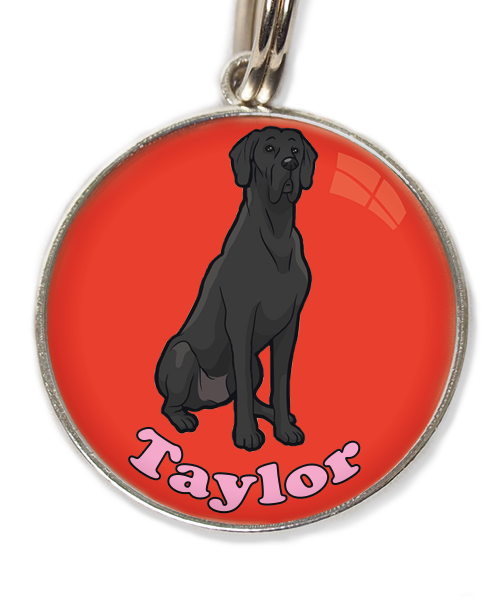 deense-dog-cartoon-met-naam-los-huisdierpenning-rood