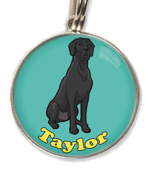 deense-dog-cartoon-met-naam-los-huisdierpenning-turquoise