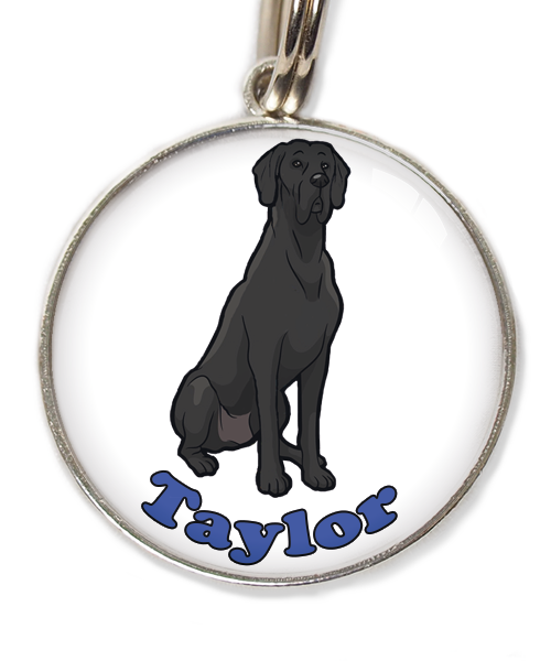 deense-dog-cartoon-met-naam-los-huisdierpenning-wit