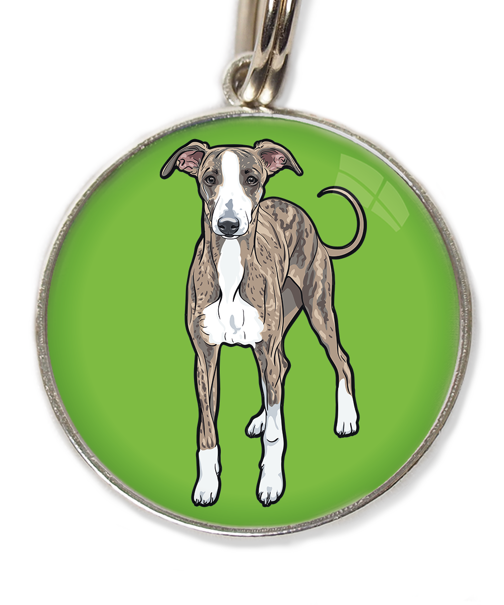 greyhound-huisdierpenning-groen