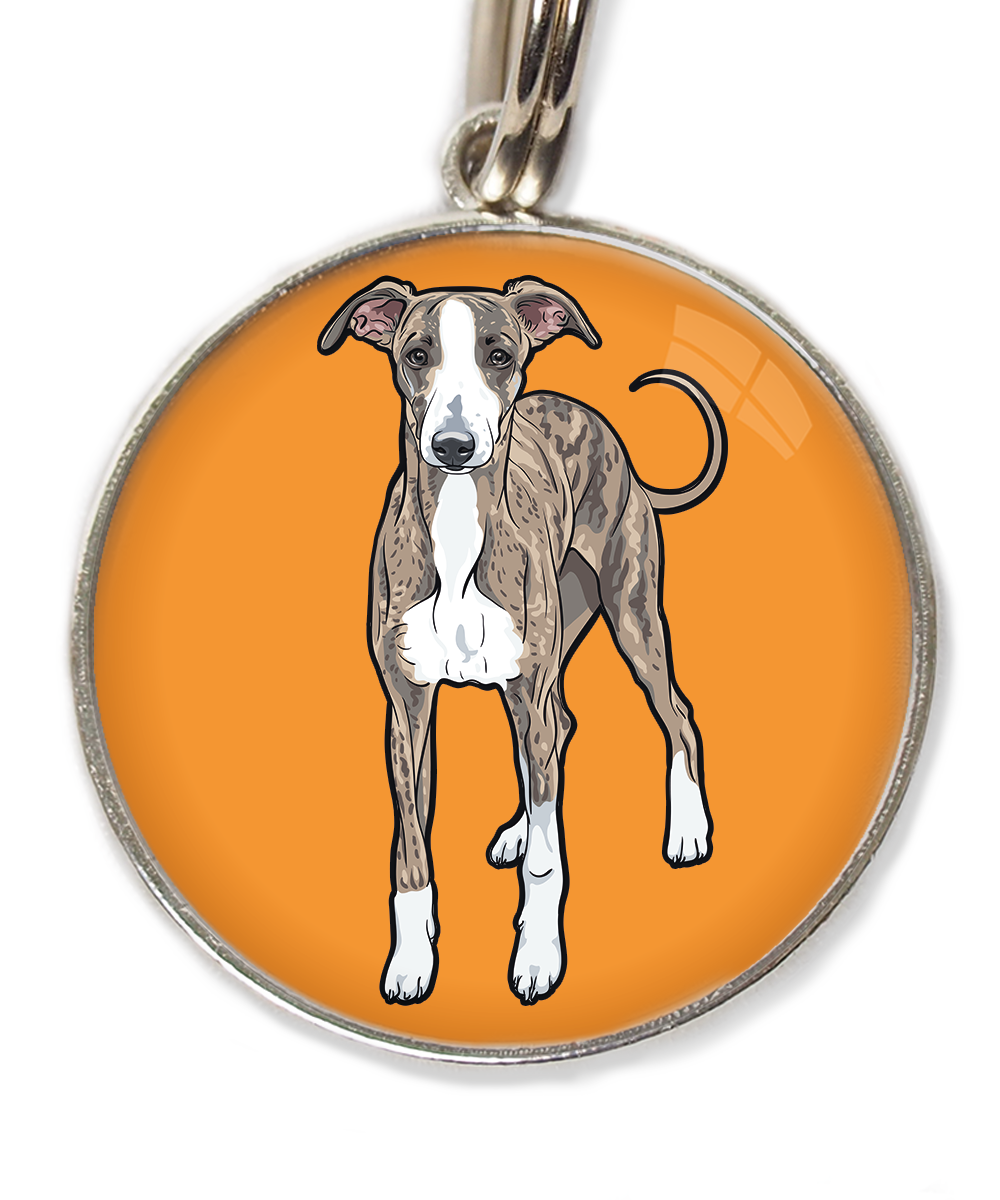 greyhound-huisdierpenning-oranje