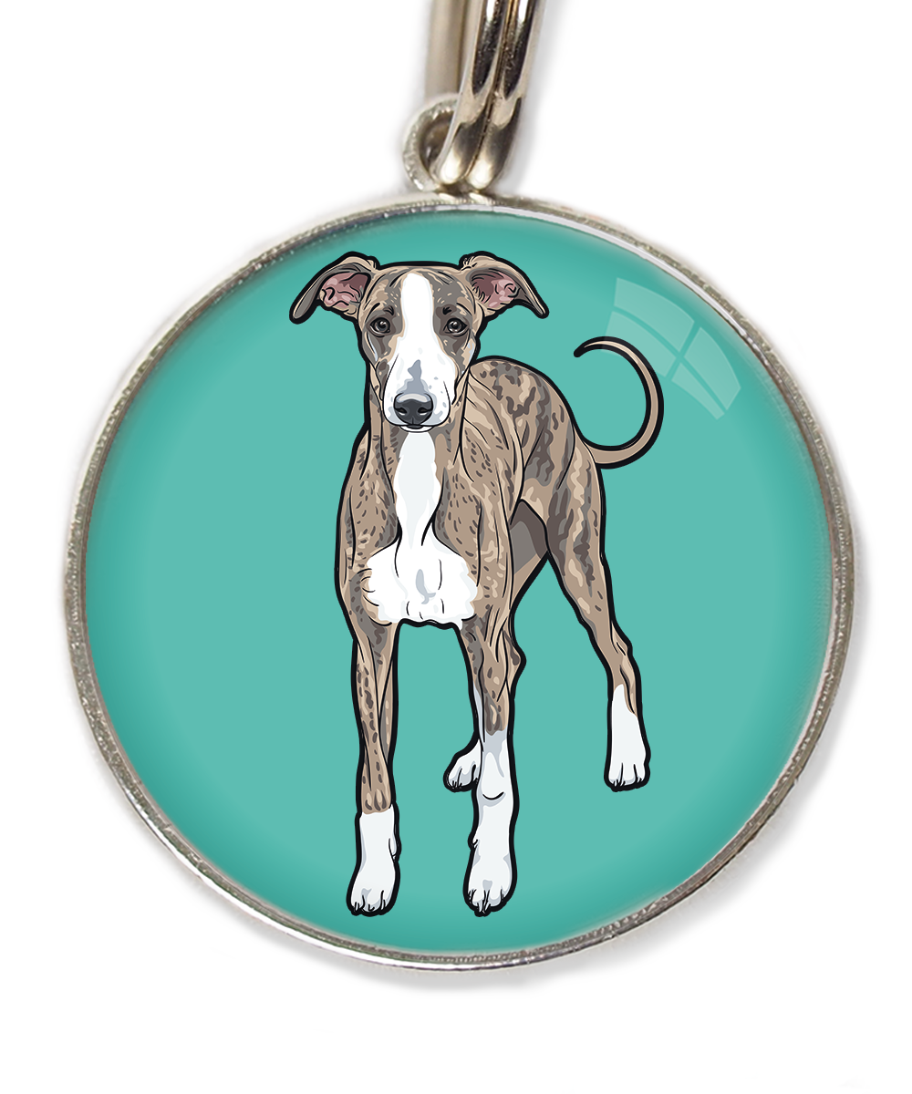 greyhound-huisdierpenning-turquoise