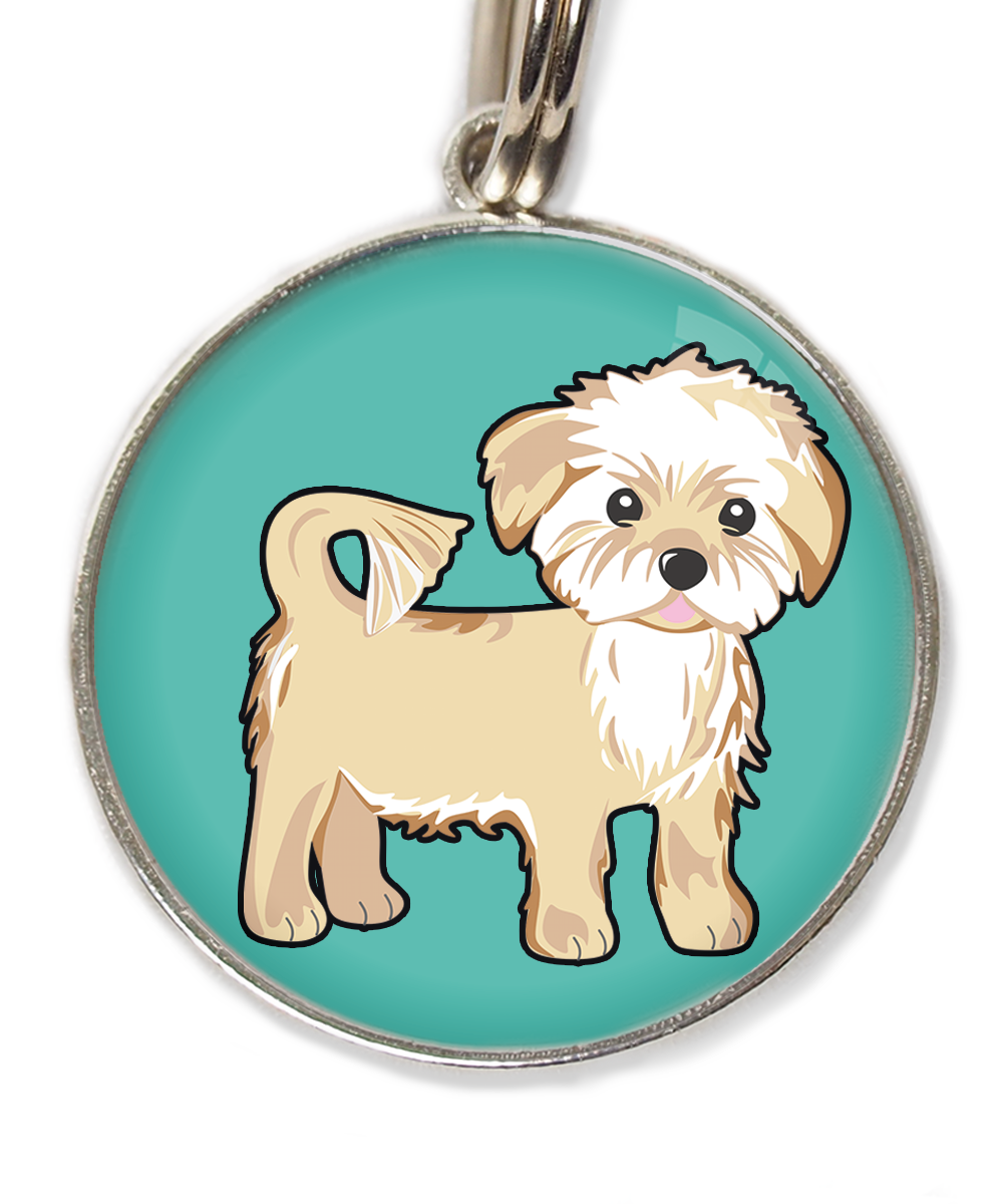 havanese-huisdierpenning-turquoise