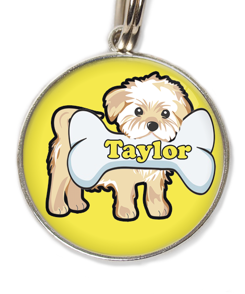 havanese-met-naam-been-huisdierpenning-geel