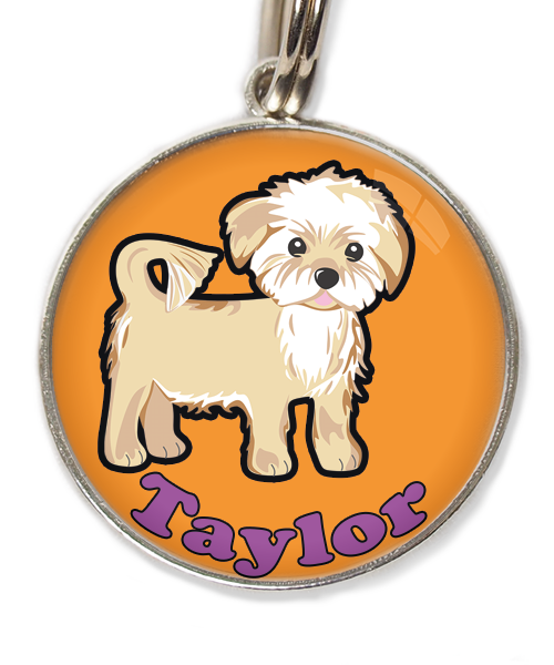 havanese-met-naam-los-huisdierpenning-oranje