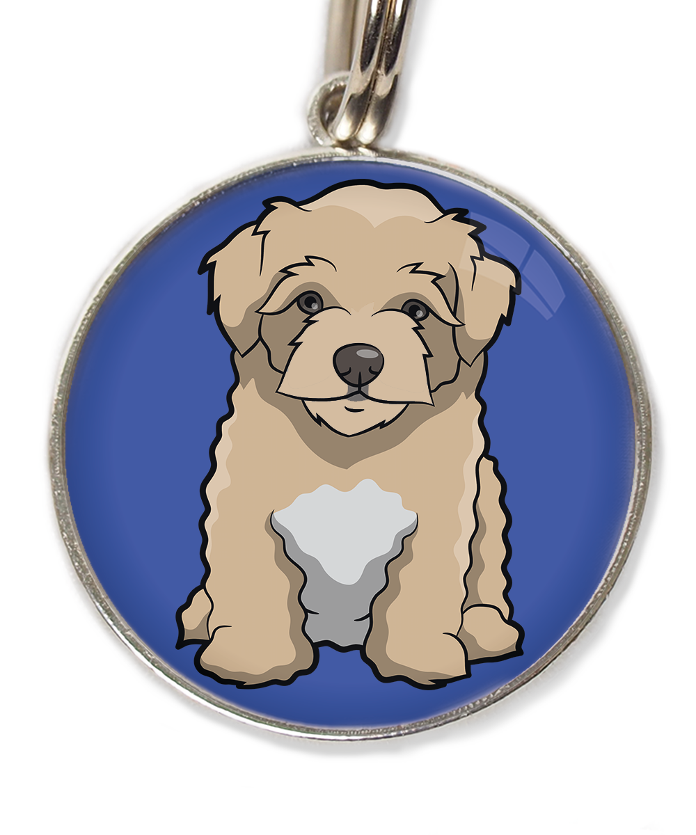 maltipoo-beige-huisdierpenning-blauw-2
