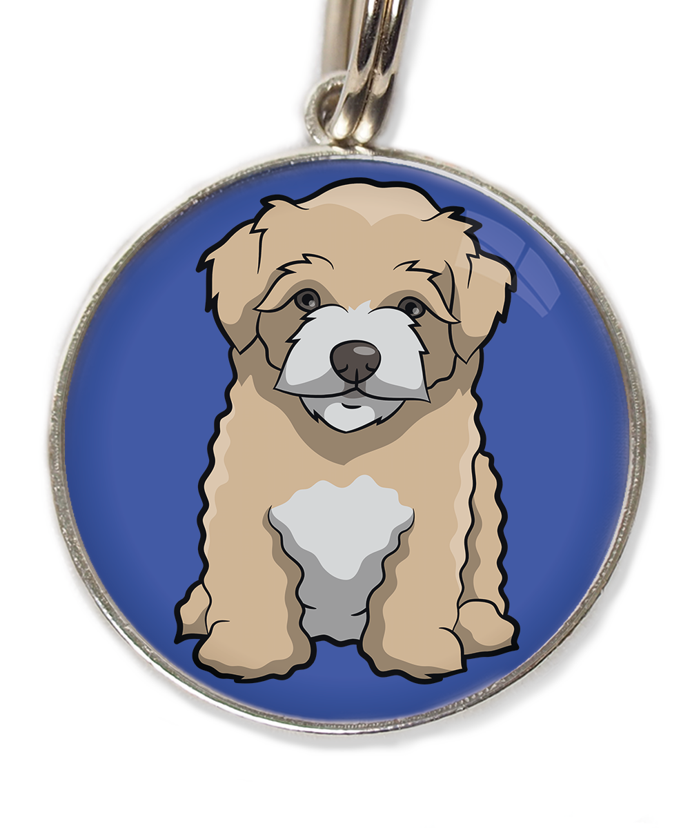 maltipoo-beige-huisdierpenning-blauw