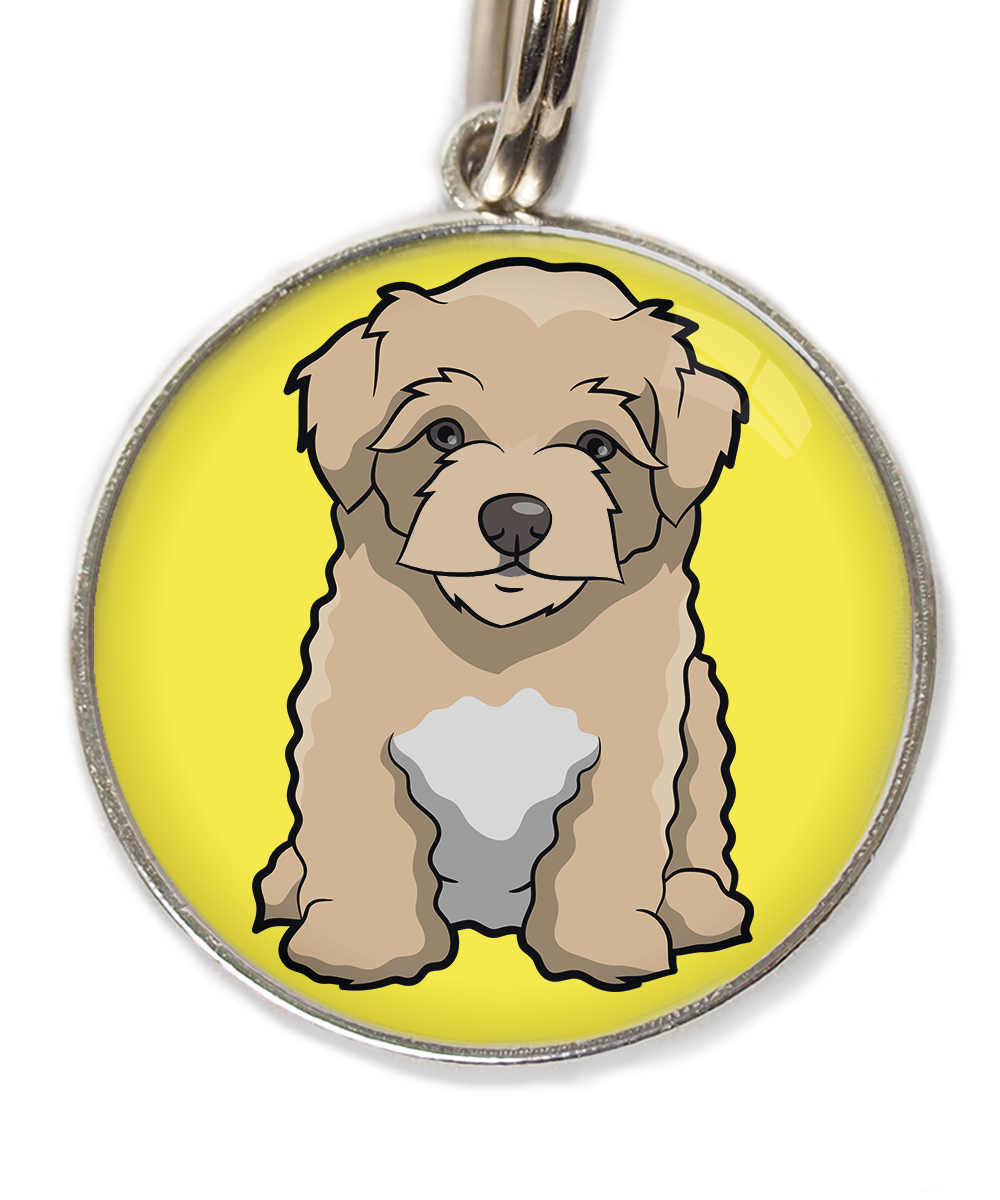 maltipoo-beige-huisdierpenning-geel-2