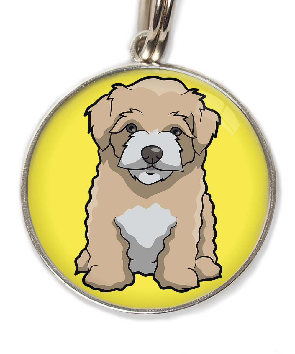 maltipoo-beige-huisdierpenning-geel