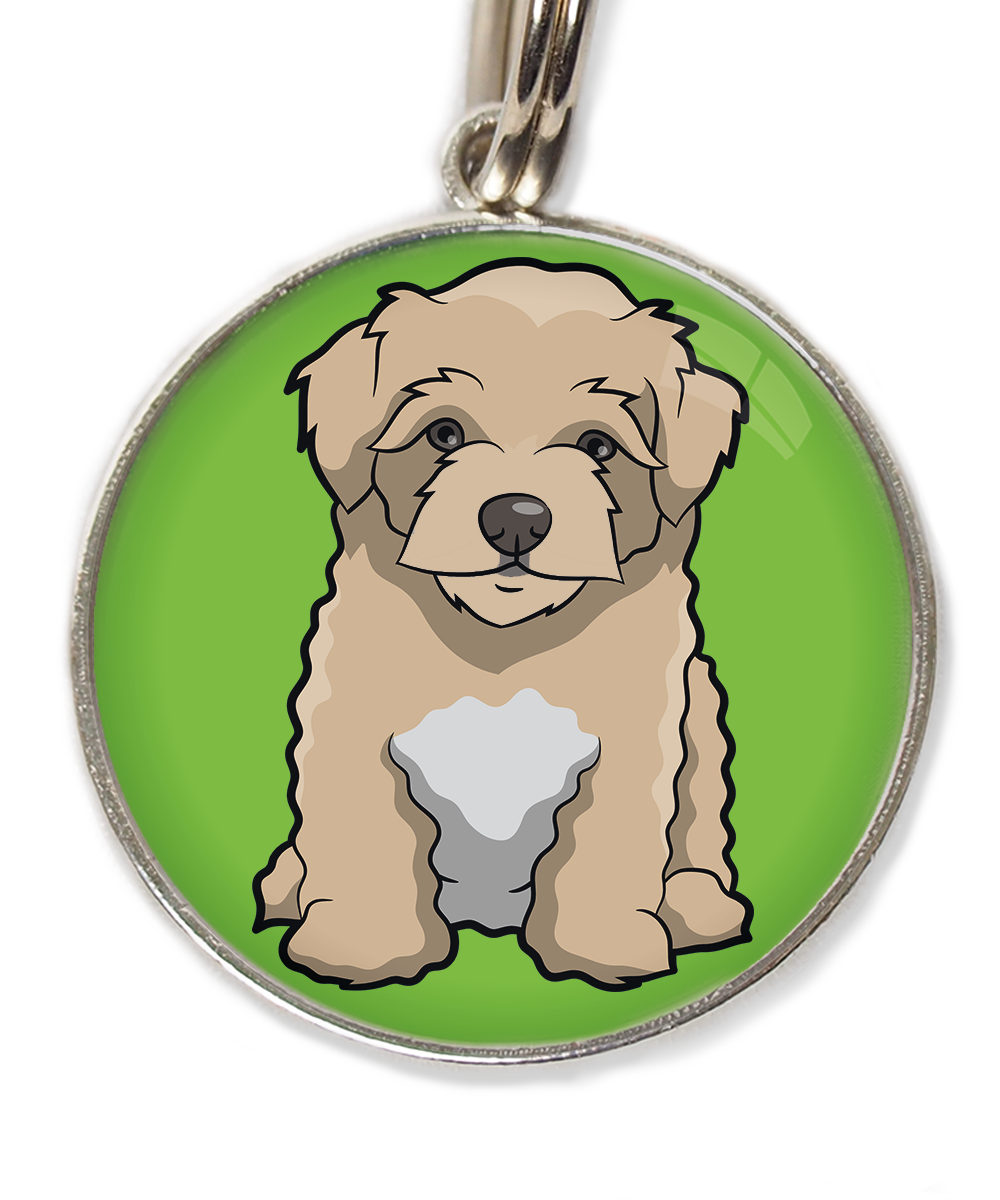 maltipoo-beige-huisdierpenning-groen-2