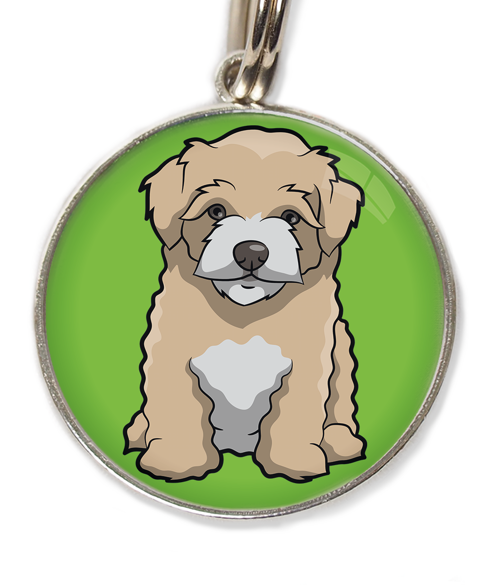 maltipoo-beige-huisdierpenning-groen