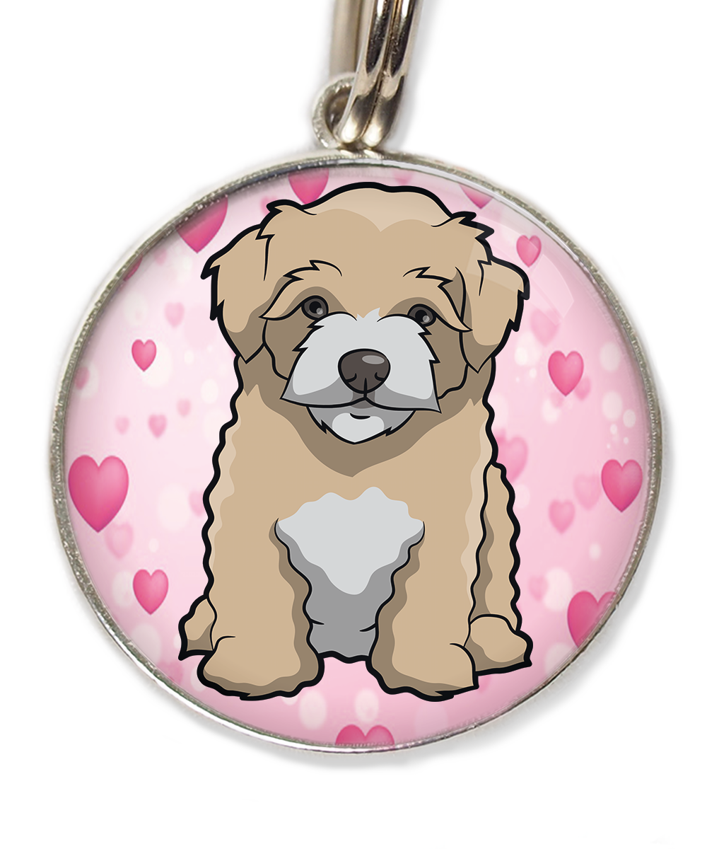 maltipoo-beige-huisdierpenning-hartjes
