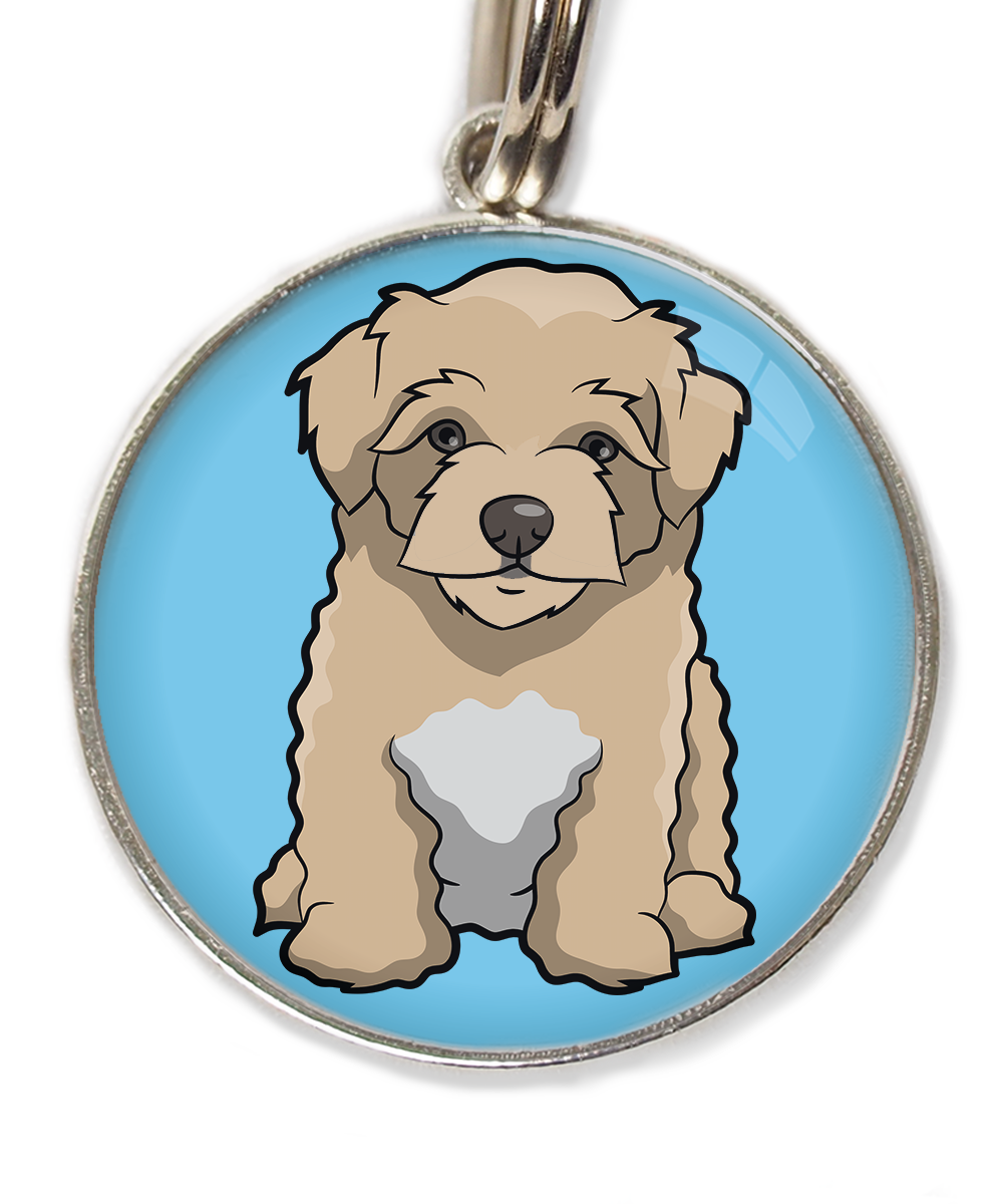 maltipoo-beige-huisdierpenning-lichtblauw-2
