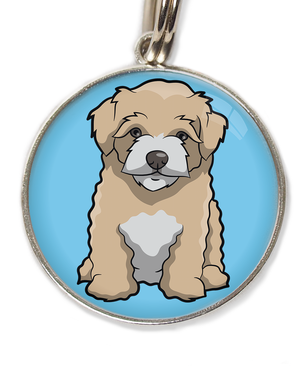 maltipoo-beige-huisdierpenning-lichtblauw