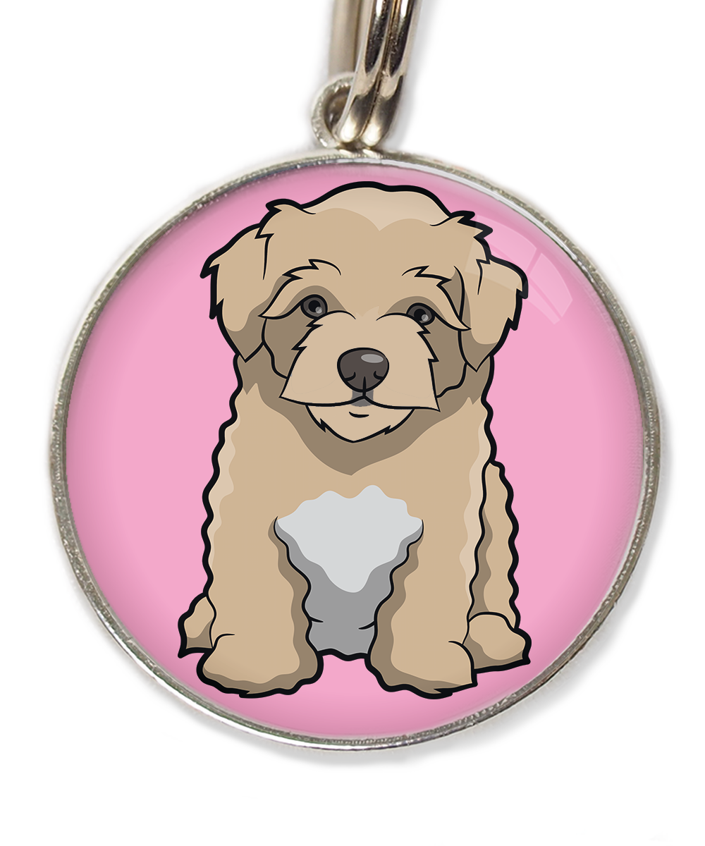 maltipoo-beige-huisdierpenning-lichtroos-2