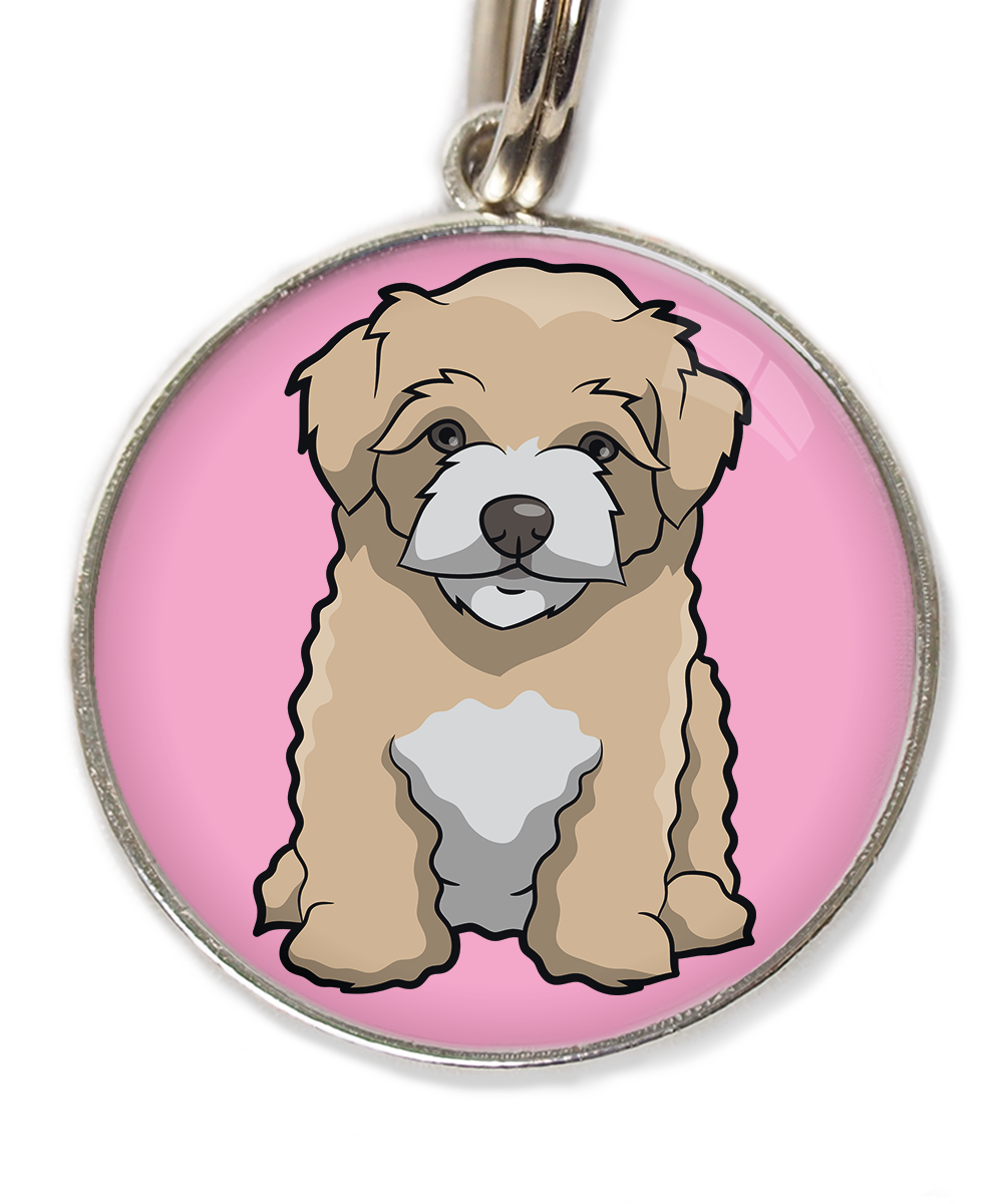 maltipoo-beige-huisdierpenning-lichtroos