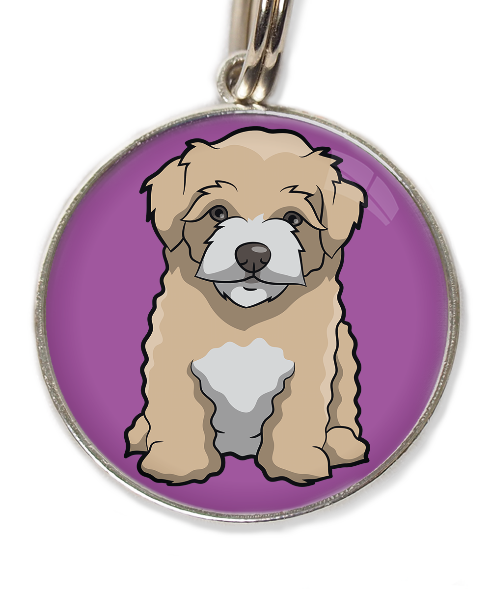 maltipoo-beige-huisdierpenning-lilla
