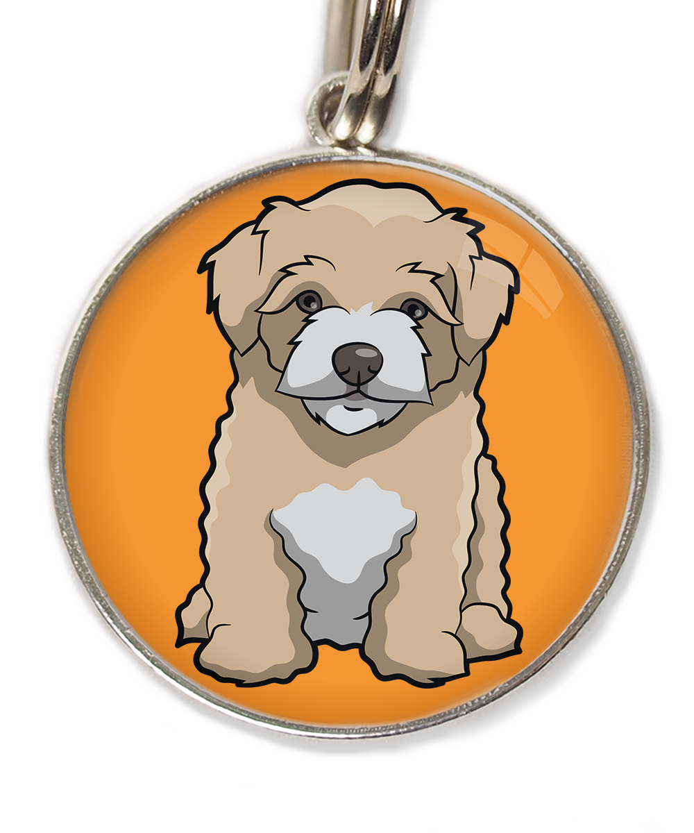 maltipoo-beige-huisdierpenning-oranje
