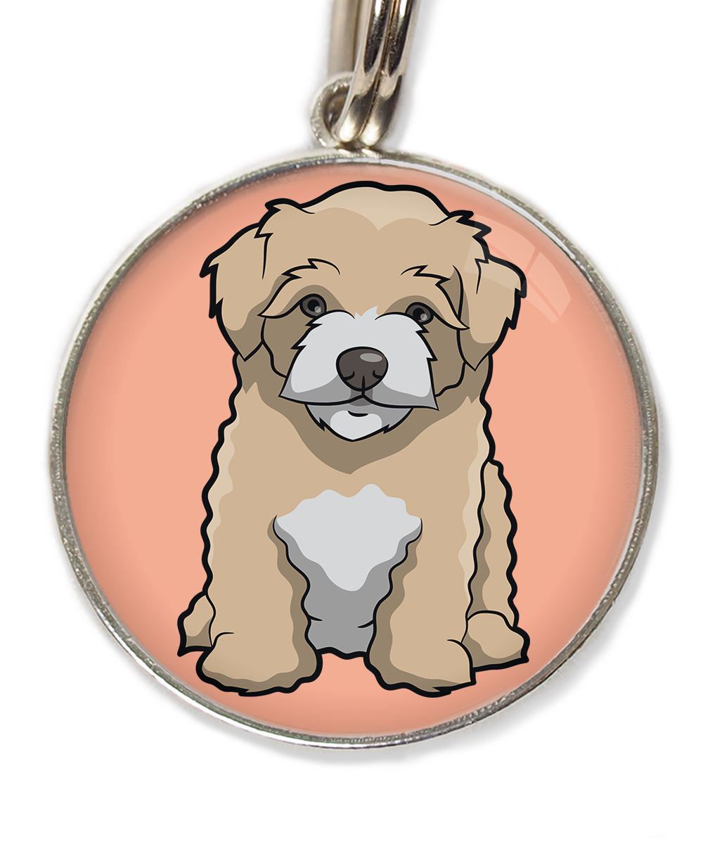 maltipoo-beige-huisdierpenning-peach