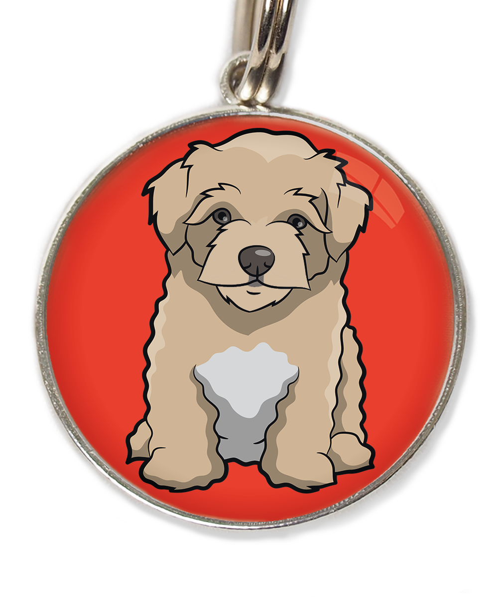 maltipoo-beige-huisdierpenning-rood-2