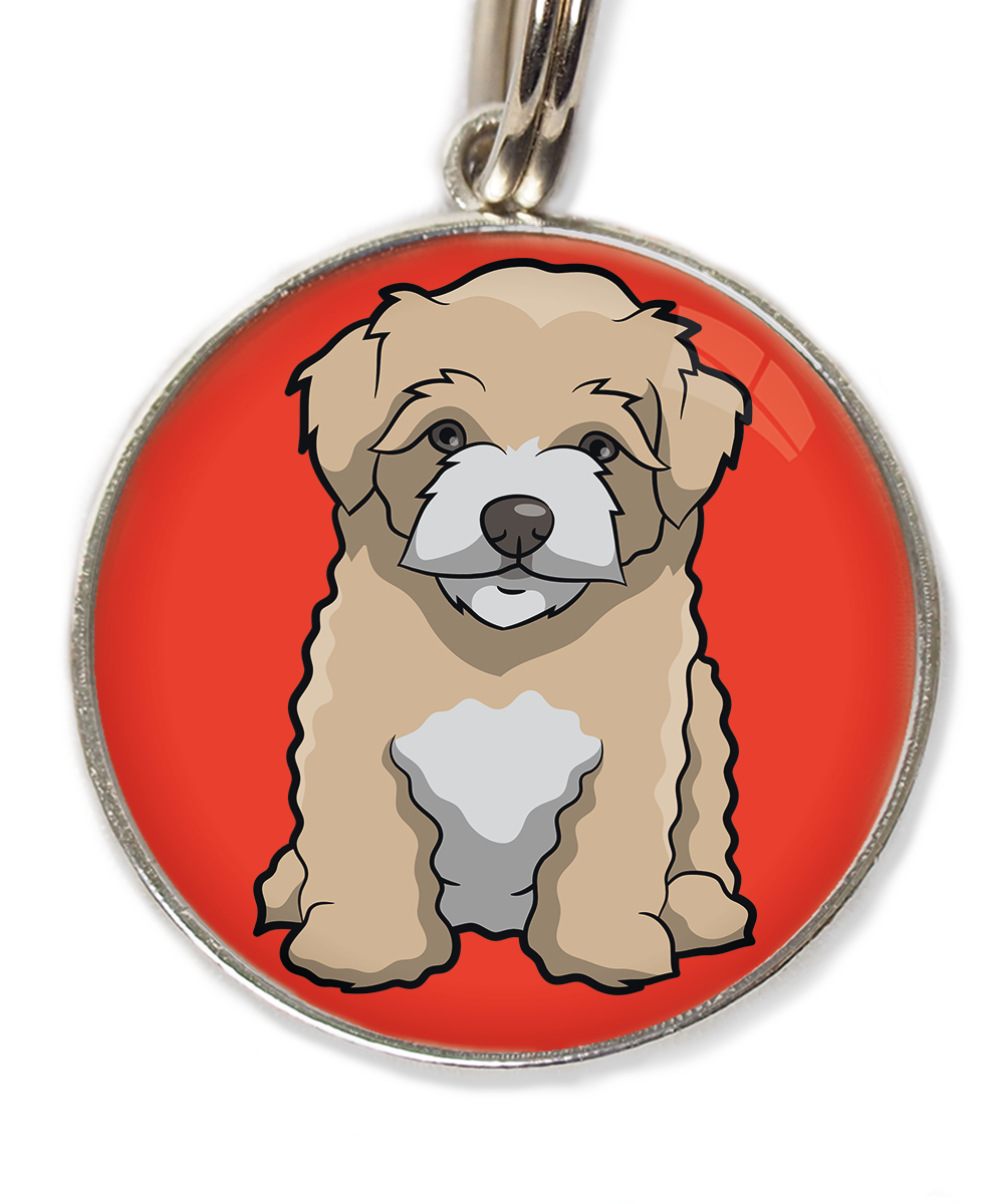 maltipoo-beige-huisdierpenning-rood