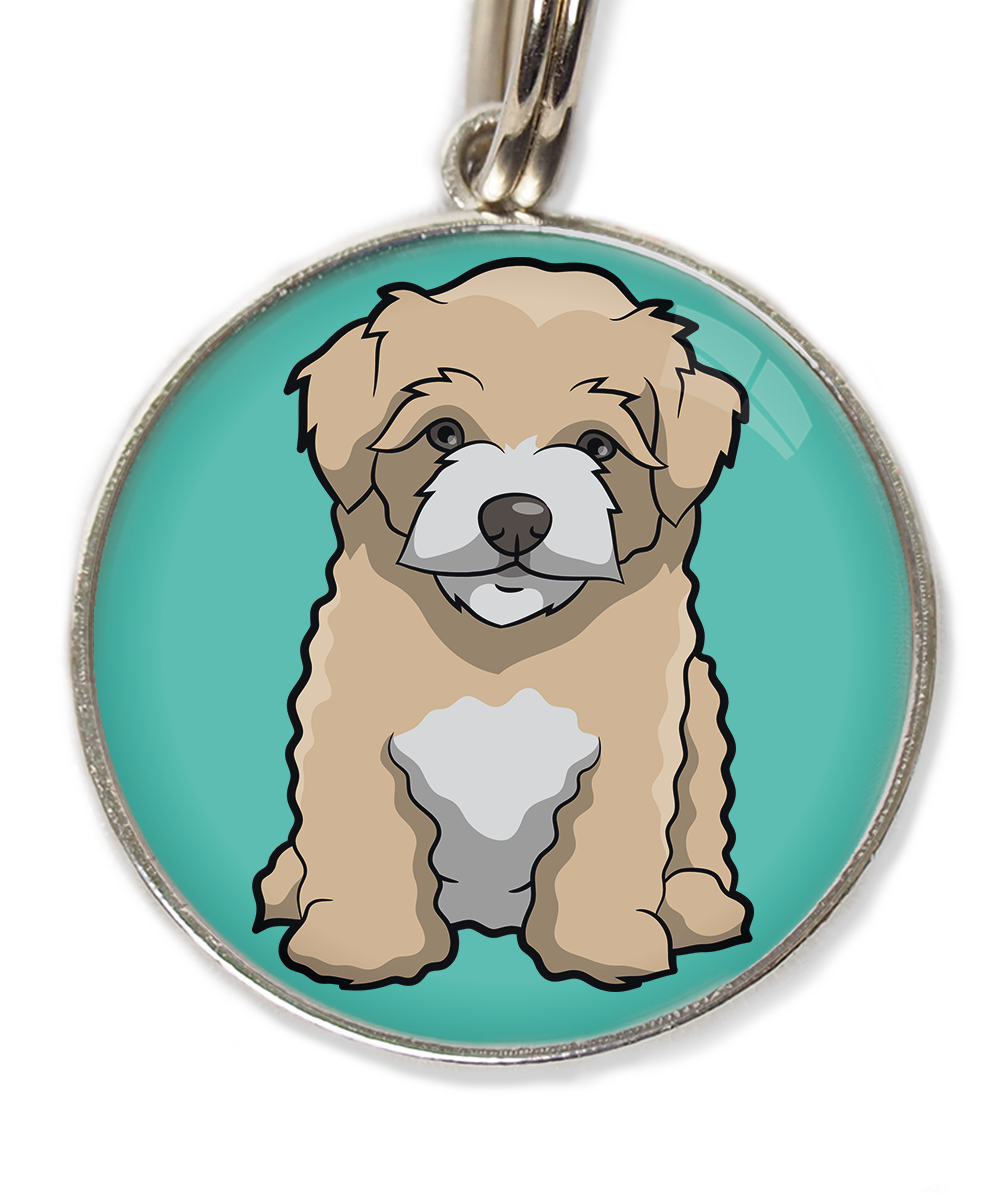 maltipoo-beige-huisdierpenning-turquoise
