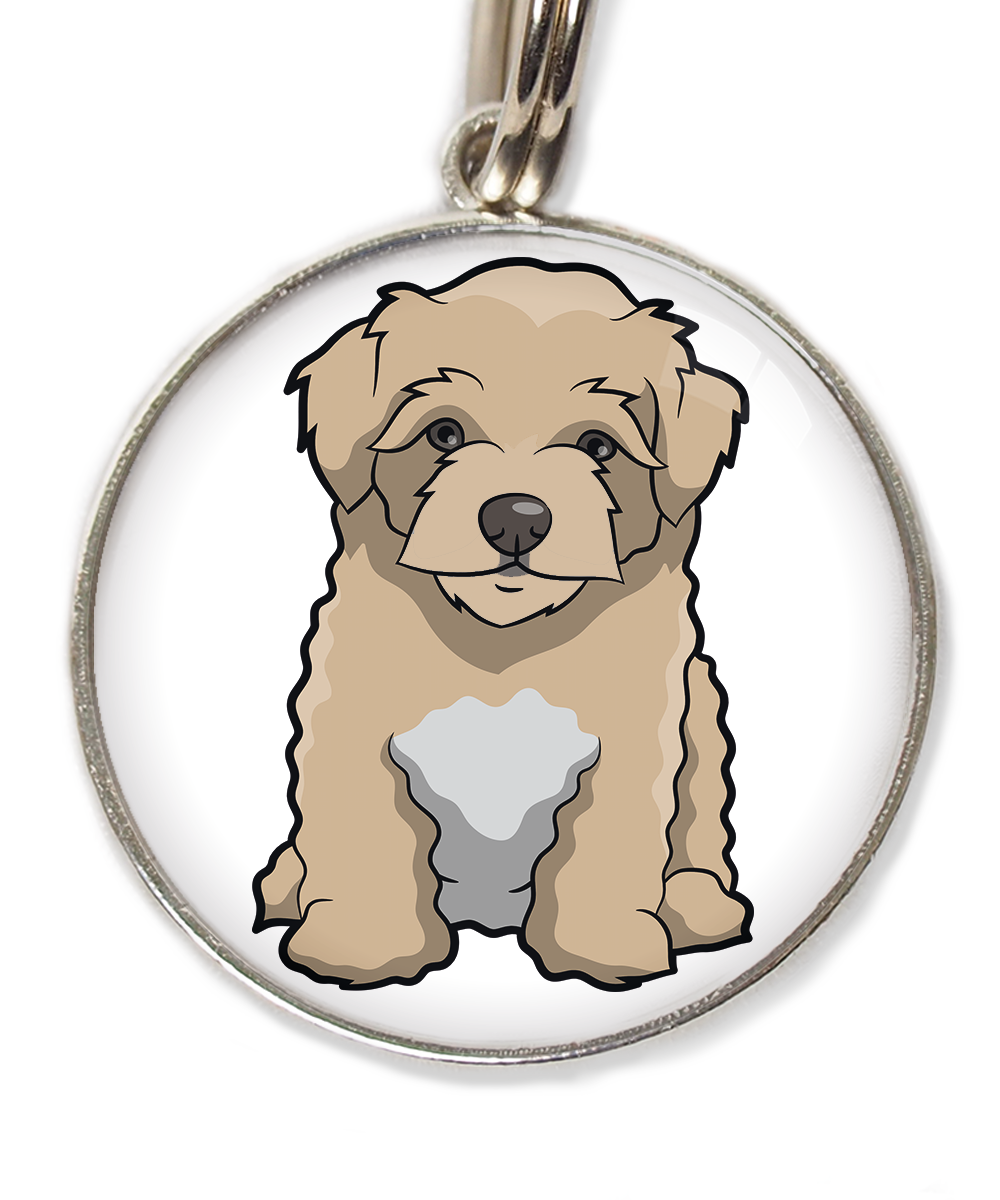 maltipoo-beige-huisdierpenning-wit-2