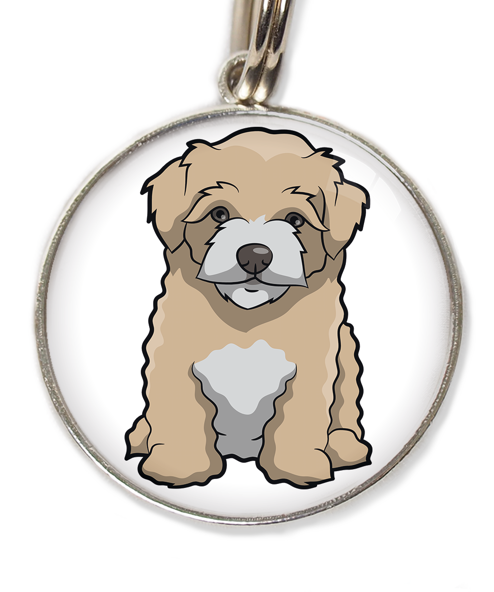 maltipoo-beige-huisdierpenning-wit