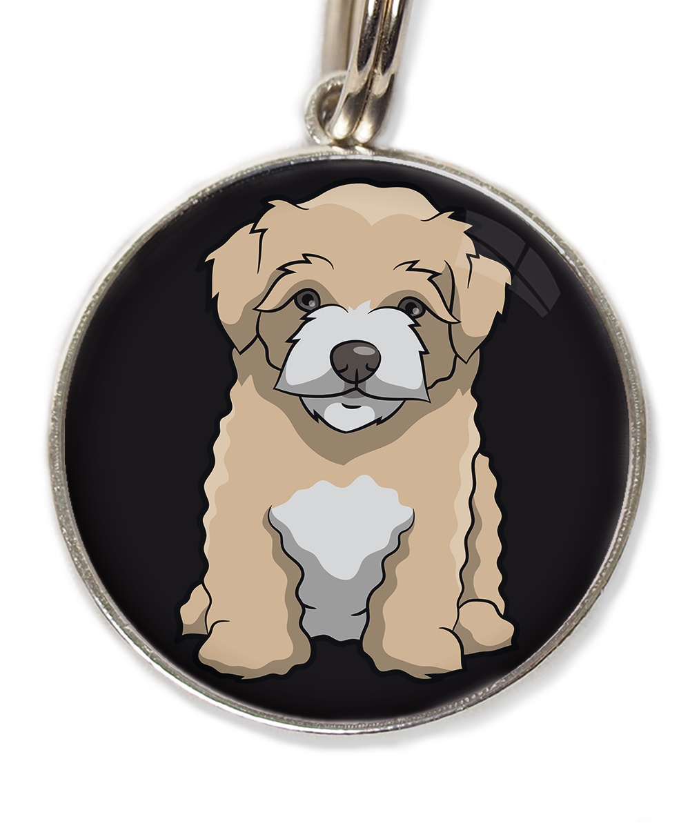 maltipoo-beige-huisdierpenning-zwart