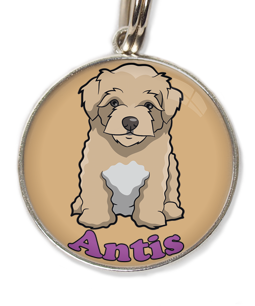 maltipoo-beige-met-naam-los-huisdierpenning-beige-2