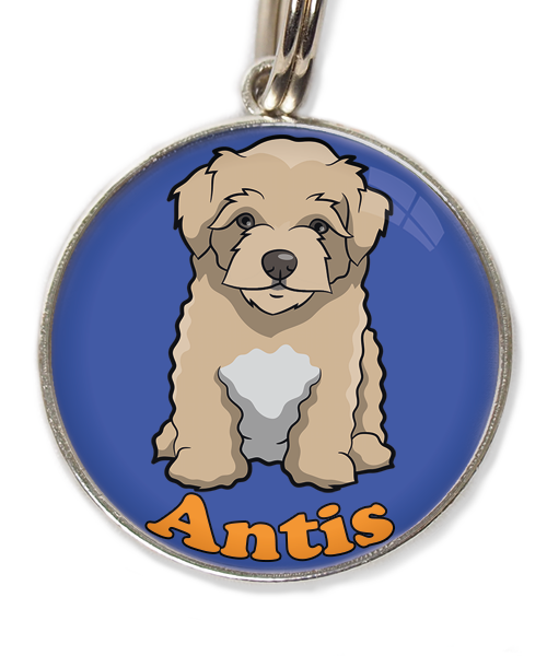maltipoo-beige-met-naam-los-huisdierpenning-blauw-2