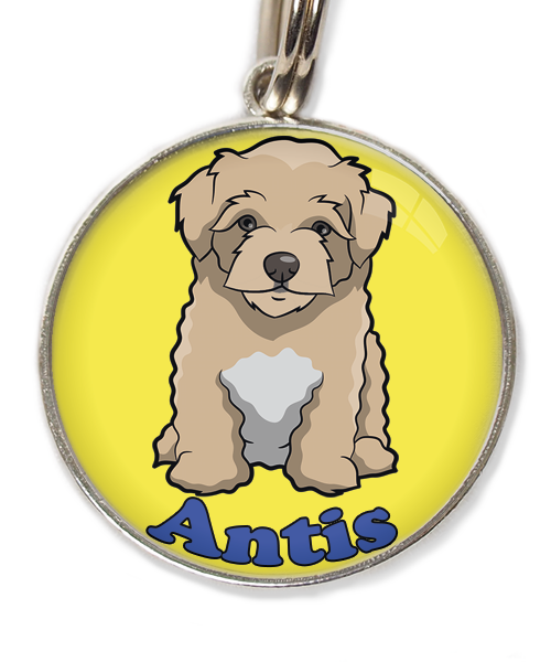 maltipoo-beige-met-naam-los-huisdierpenning-geel-2