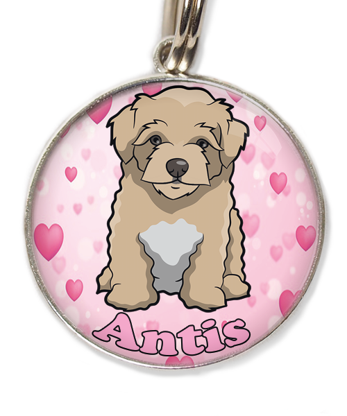 maltipoo-beige-met-naam-los-huisdierpenning-hartjes-2