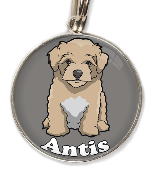 maltipoo-beige-met-naam-los-huisdierpenning-lichtgrijs-2